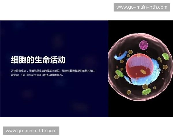 vs吗_：在万物皆可对标的时代，活出你的“主场优势”